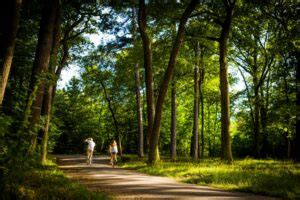 bois de boulogne nuit prix|Bois de Boulogne : que savoir pour profiter de sa。